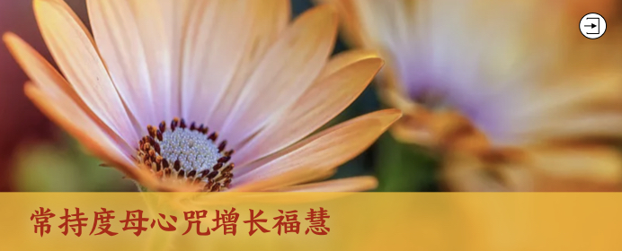 链接图模版.001.jpeg
